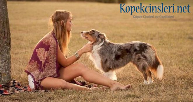 Köpek Sahiplerinin İlginç Huyları Köpek Sahiplerinin İlginç Huyları