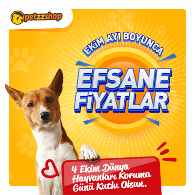 Kopegimin Cinsini Nasil Ogrenebilirim