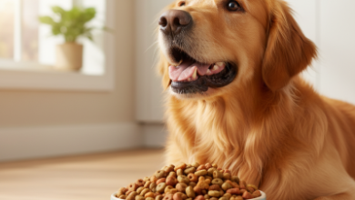 Pronature Mama ile Köpek Sorunlarına Doğal ve Kalıcı Çözümler 